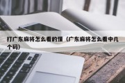 打广东麻将怎么看的懂（广东麻将怎么看中几个码）