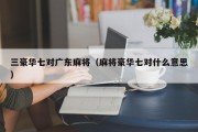 三豪华七对广东麻将（麻将豪华七对什么意思）