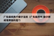 广东麻将两个癞子当将（广东麻将中,癞子牌或鬼牌指的是?）