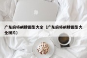 广东麻将胡牌图型大全（广东麻将胡牌图型大全图片）