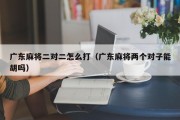 广东麻将二对二怎么打（广东麻将两个对子能胡吗）