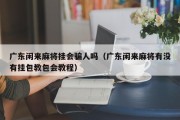 广东闲来麻将挂会骗人吗（广东闲来麻将有没有挂包教包会教程）