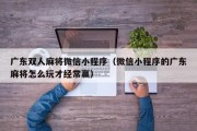 广东双人麻将微信小程序（微信小程序的广东麻将怎么玩才经常赢）