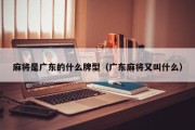 麻将是广东的什么牌型（广东麻将又叫什么）