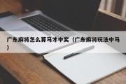 广东麻将怎么算马才中奖（广东麻将玩法中马）