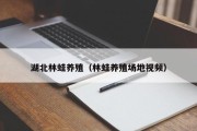 湖北林蛙养殖(林蛙养殖场地视频) 湖北林蛙养殖(林蛙养殖场地视频)