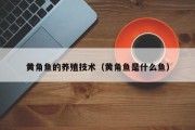 黄角鱼的养殖技术(黄角鱼是什么鱼) 黄角鱼的养殖技术(黄角鱼是什么鱼)